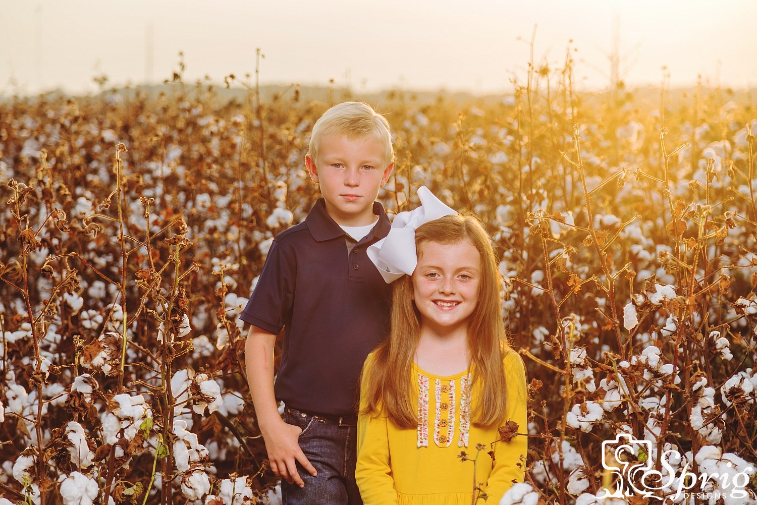 Families - Sprig Designs
