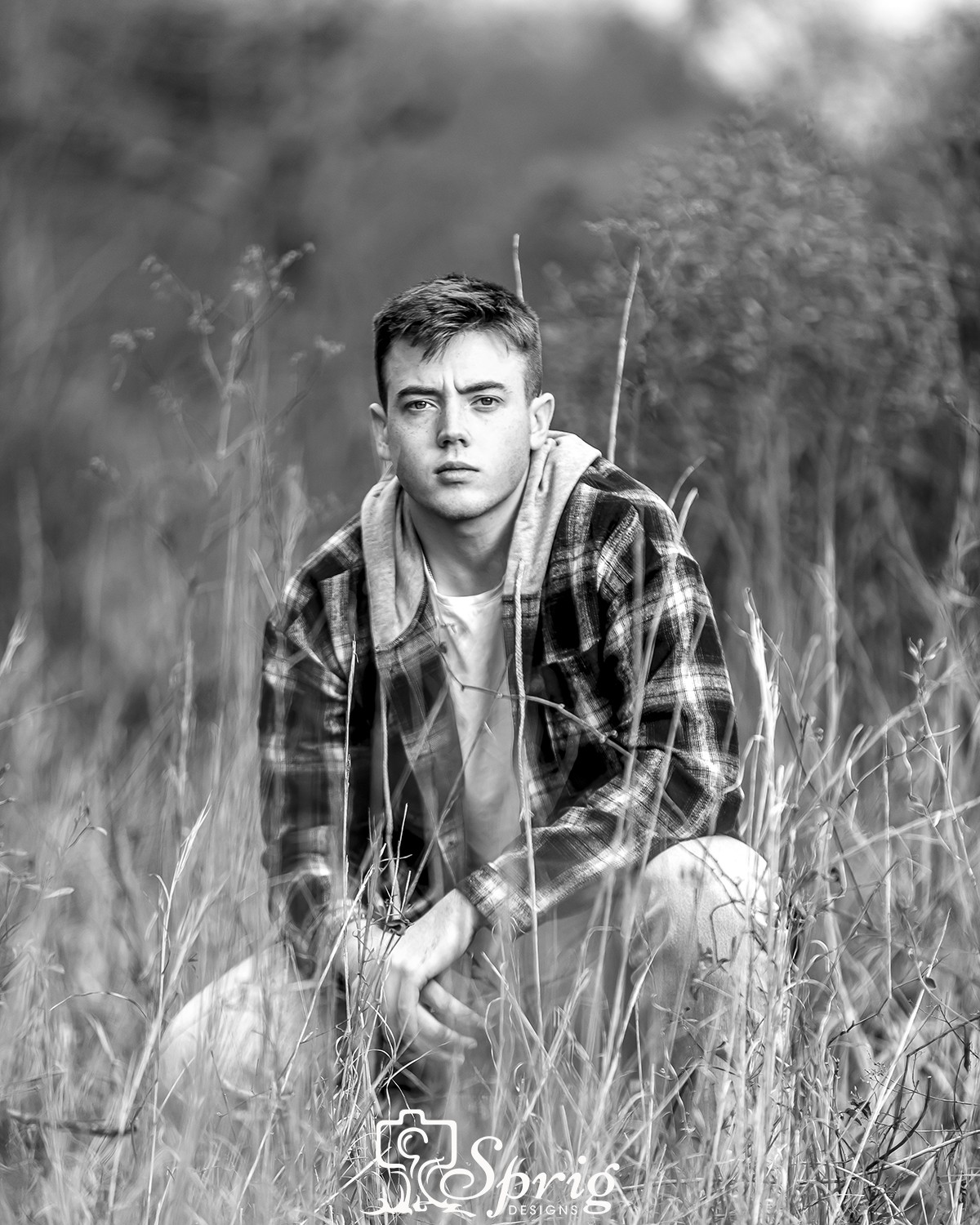 Drew D - Client Galleries - Sprig Designs
